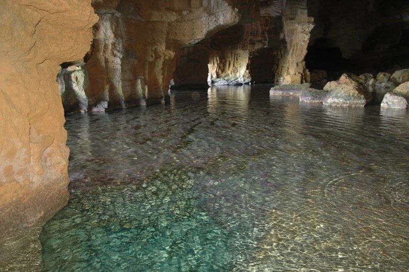 فندق La Casa Del Carrebaix Orba المظهر الخارجي الصورة