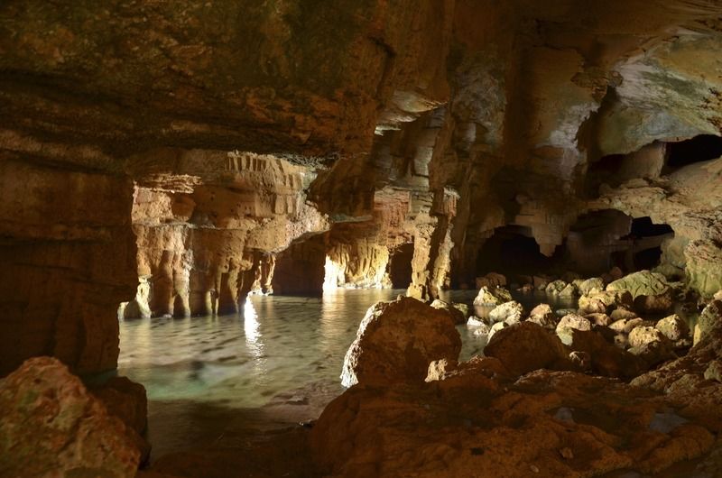 فندق La Casa Del Carrebaix Orba المظهر الخارجي الصورة